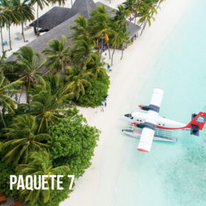 Liquidación Paquete Familiar 7